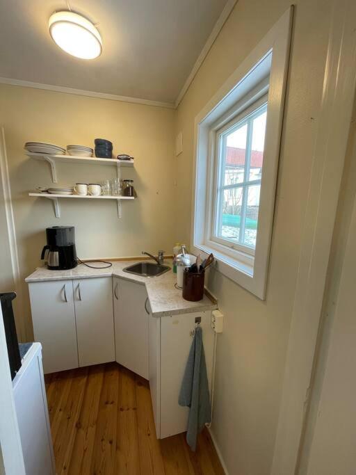 Apartament With Access To Garden, Central, Quiet And With Free Parking Fredrikstad Esterno foto